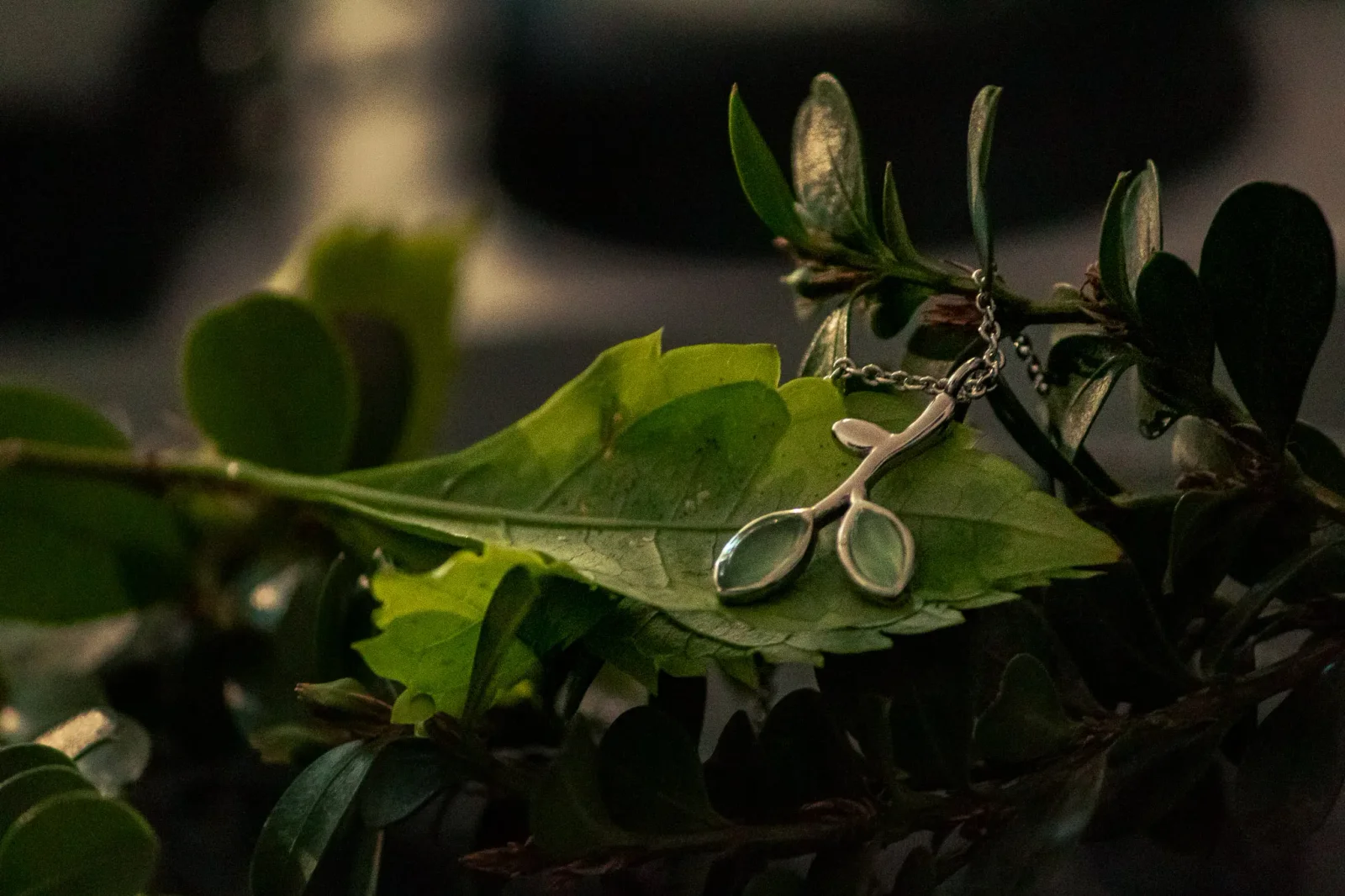 product photography by JRMGraphy